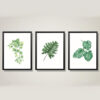 Custom Photo Frames